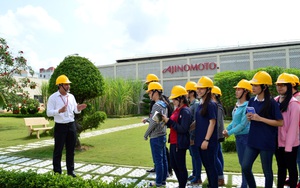 Người tiêu dùng được tham quan nhà máy của Ajinomoto