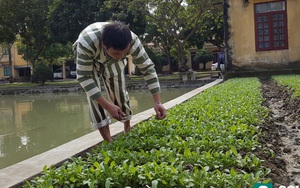 Lời thề nguyền yêu đương của phạm nhân sau cánh cửa tù