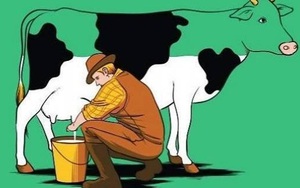 Bài học ý nghĩa từ cách kinh doanh đơn giản người bán sữa bò dạo