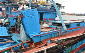 Tàu lạ đâm chìm tàu cá ngư dân Quảng Ngãi 2 lần rồi bỏ chạy