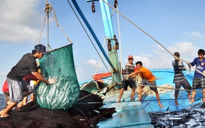 Việc cấm đánh bắt cá trên Biển Đông của Trung Quốc là vô giá trị