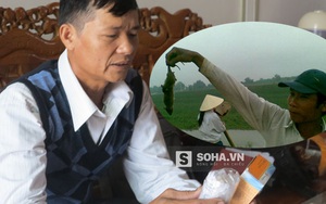 Thông tin mới nhất vụ chuột ăn thuốc cả tháng vẫn béo tốt