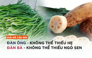 Vì sao từ xưa đã có câu: "Đàn ông không thể thiếu hẹ, đàn bà không thể thiếu ngó sen"?