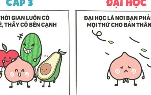 Những điều chỉ thấy ở cấp 3 mà không thể tìm ra ở Đại học