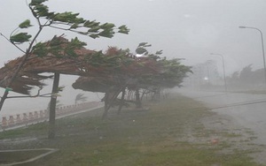 Tin mới nhất về áp thấp nhiệt đới trên Biển Đông