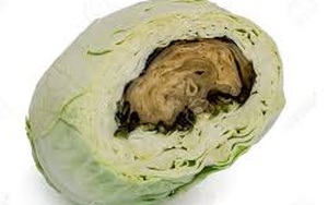 9 loại rau củ cực độc bác sĩ khuyên bạn tuyệt đối không ăn