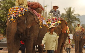 Bị Lào, Myanmar ‘giật khách’, DN dệt may Việt Nam có thể ‘ngoi ngóp’ chờ TPP?