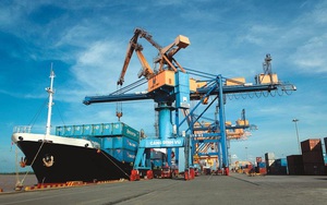 Bí ẩn đối tác mua cảng Đình Vũ: Công ty Việt Xuân Mới là ai?