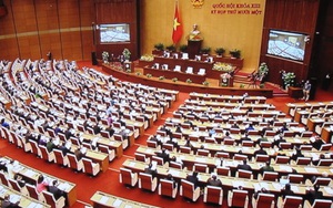 Họp báo hoãn thi hành Bộ luật Hình sự: "Chúng tôi rất thấm thía"