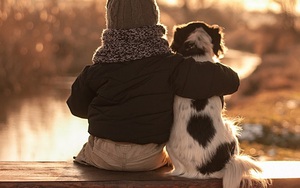 Tại sao chó luôn luôn là người bạn thân nhất của con người?