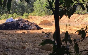 Formosa Hà Tĩnh lại chôn chất thải trên rừng