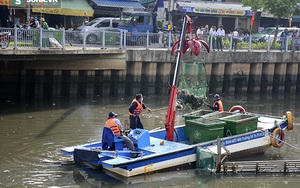 Ảnh thu gom gần 70 tấn cá chết ở kênh Nhiêu Lộc - Thị Nghè