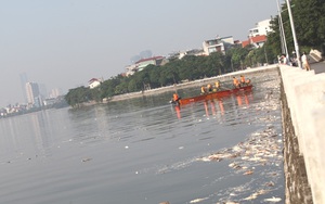 GS Nguyễn Hữu Ninh: Cá chết ở Hồ Tây là một lời cảnh báo rõ ràng!