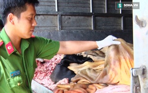Phát hiện 250kg da bò không rõ nguồn gốc