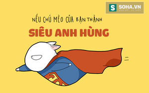 Sẽ như thế nào nếu chú mèo của bạn hóa "Siêu anh hùng"