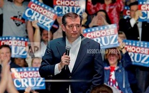 Ted Cruz lần đầu vượt xa Donald Trump