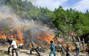 Hơn 200 người khống chế đám cháy ở vườn Quốc gia Hoàng Liên Sơn