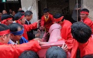 Lễ chém lợn Bắc Ninh năm nay sẽ che bạt để tránh phản cảm