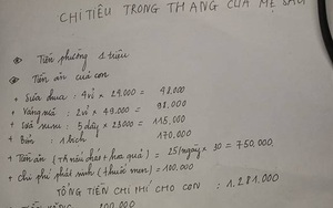 Nhật ký chi tiêu của "mẹ bỉm" hết 4 triệu đồng/tháng cho 5 người, vẫn bị chồng cằn nhằn