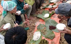 Một thời tuổi thơ 8X, chúng ta cũng từng mang cơm ra đồng cho bố mẹ như thế này