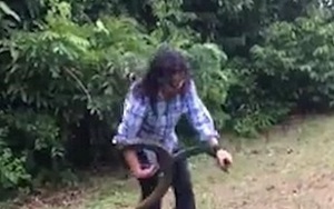 Cô gái liều lĩnh dùng tay không khống chế con rắn dữ dài 2m