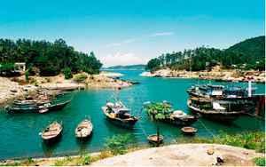Bình Thuận vẫn quyết cắt bớt Khu bảo tồn biển Hòn Cau?