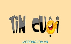 Tin cuội: Một chút ngọt ngào” trên đường phố
