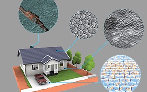 DARPA đang nghiên cứu loại nhà sinh học có thể tự "mọc lên" và tự sửa chữa khi hư hỏng