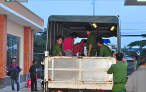 Đã bắt 334 học viên cai nghiện trốn trại ở tỉnh Đồng Nai