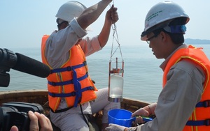 19 lần quan trắc, nước biển tại Nghệ An đều an toàn