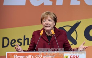 AfD tạo nên “cơn địa chấn“ tại cuộc bầu cử ở Đức