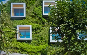 Châu Âu đang hướng đến thiết kế nhà “xanh” hoàn toàn như thế nào?