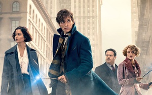 Thế giới phù thủy của “Fantastic Beasts and Where to Find Them”