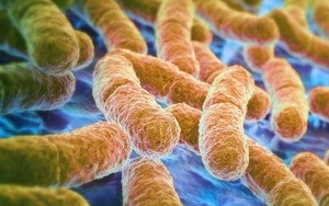 Phát hiện vi khuẩn Trái đất sinh trưởng bùng phát trong vũ trụ