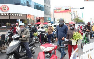 Giám đốc công ty cây xanh: Người Đà Nẵng không “hôi hoa”
