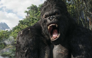 Nhà sản xuất Kong: Skull Island gửi thư tới truyền thông VN