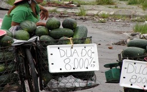 'Luật ngầm' của dân buôn hoa quả vỉa hè