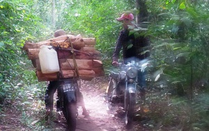 Một cán bộ lâm trường bị chém chết lúc rạng sáng
