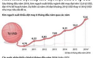 [Infographics] Xuất khẩu dệt may khó đạt mục tiêu 30 tỷ USD