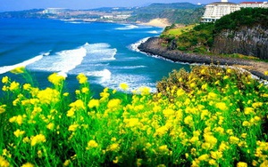 Người Việt "biến mất" ở Jeju: cảnh sát truy lùng 1 người Hàn