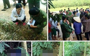 Bức xúc chuyện thi thể bé gái 3 tuổi bị mẹ bỏ suốt 10 ngày
