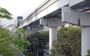 Cây xanh mọc um tùm, đẹp mắt dưới gầm đường sắt trên cao ở nhiều nước trên thế giới