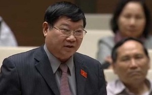 Đừng mời gọi đầu tư kiểu “trên trải thảm, dưới rải đinh”