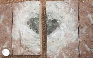 Mảnh thiên thạch chưa từng thấy trong lịch sử được phát hiện trong một mỏ đá vôi tại Thụy Điển