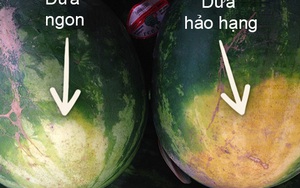 Đây là 5 bí kíp chọn được quả dưa hấu hảo hạng bằng cách siêu dễ cho chị em nội trợ