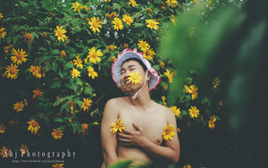 Bị dân mạng "ném đá" vì bộ ảnh khó đỡ bên hoa dã quỳ, nhân vật chính lên tiếng