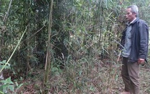 Thanh Hóa phát hiện mộ cổ trong vườn nhà dân