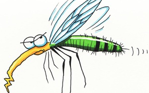 6 mẹo vặt trị muỗi đốt hiệu quả sẵn có trong nhà