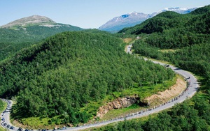 Na Uy chính thức là quốc gia đầu tiên trên thế giới cam kết không chặt phá rừng