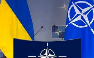 Ukraine thừa nhận vẫn chưa sẵn sàng gia nhập NATO